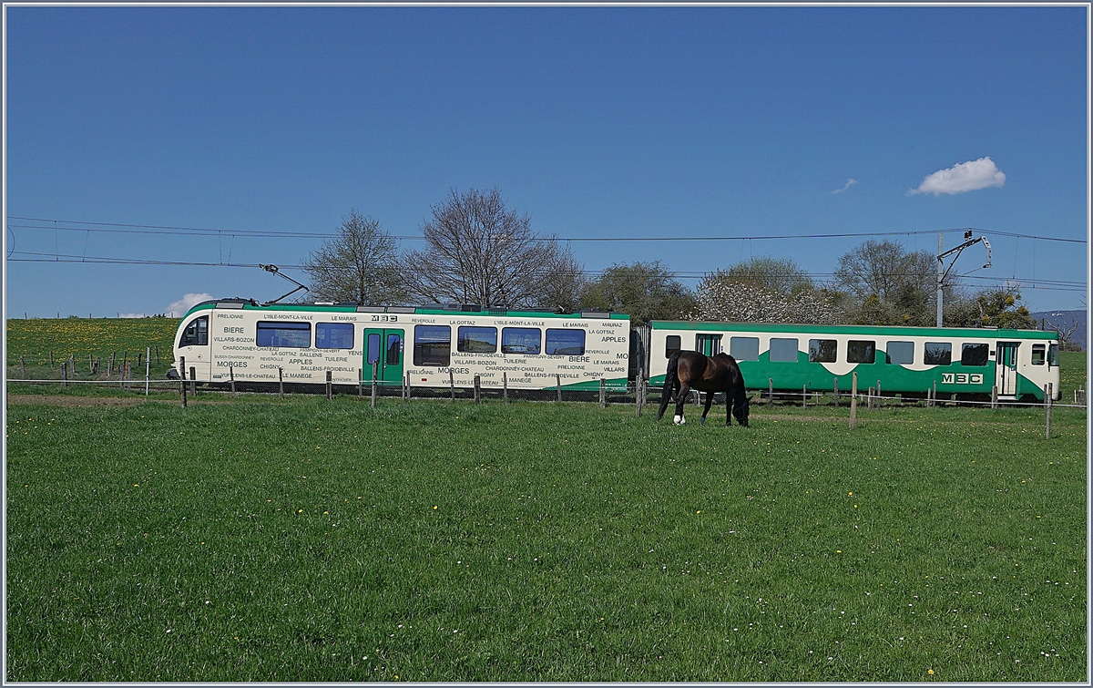 A BAM local train on the way to l'Isle by Apples.
19.04.2018