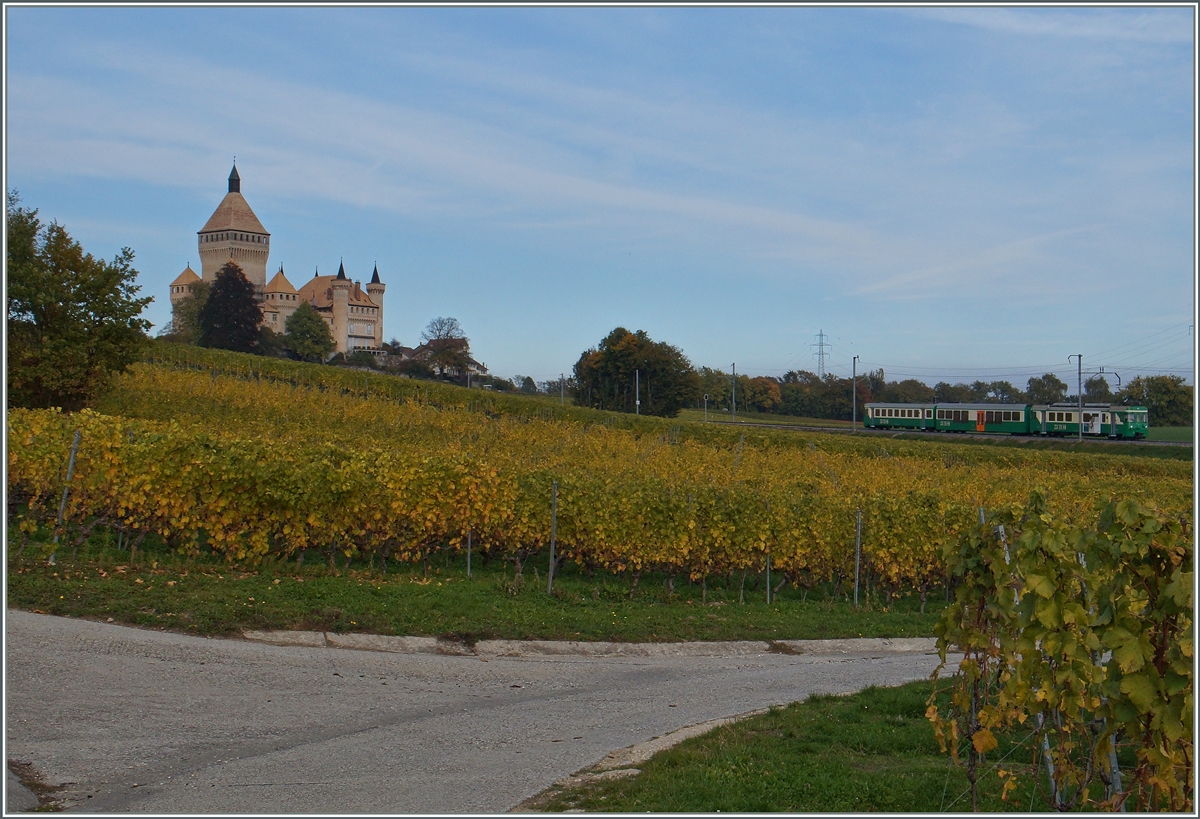A BAM local train in the vineyard by the Castle of Vufflens.
20.10.2015