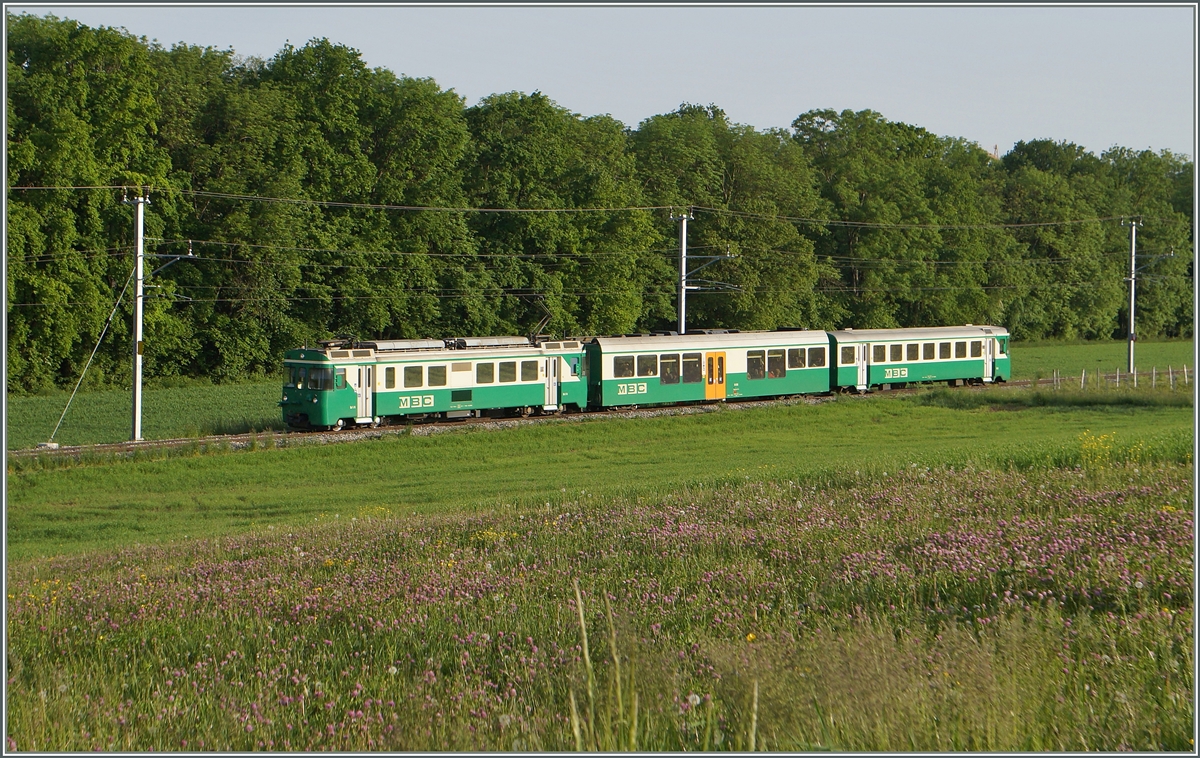 A BAM local train to Bière near Chigny.
12.05.2015