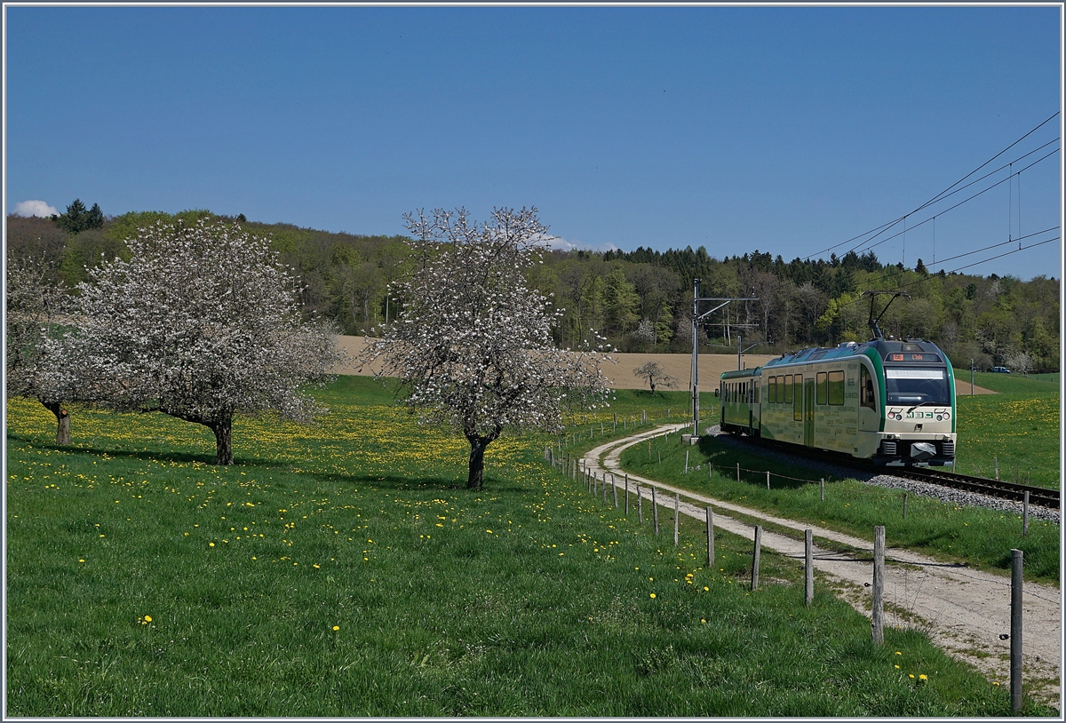 A BAM local train to L'Isle near Apples.

19.04.2018