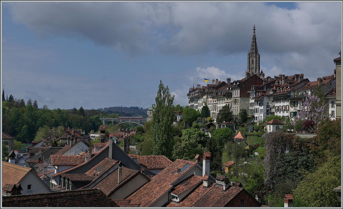 A Berner Tramway on the Monbijou Bridge in Bern.

26.04.2022