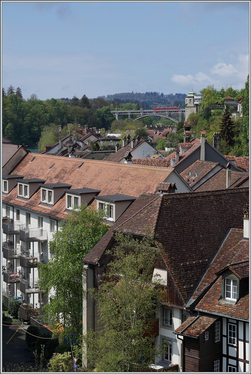 A Berner Tramway on the Monbijou Bridge in Bern. 

26.04.2022