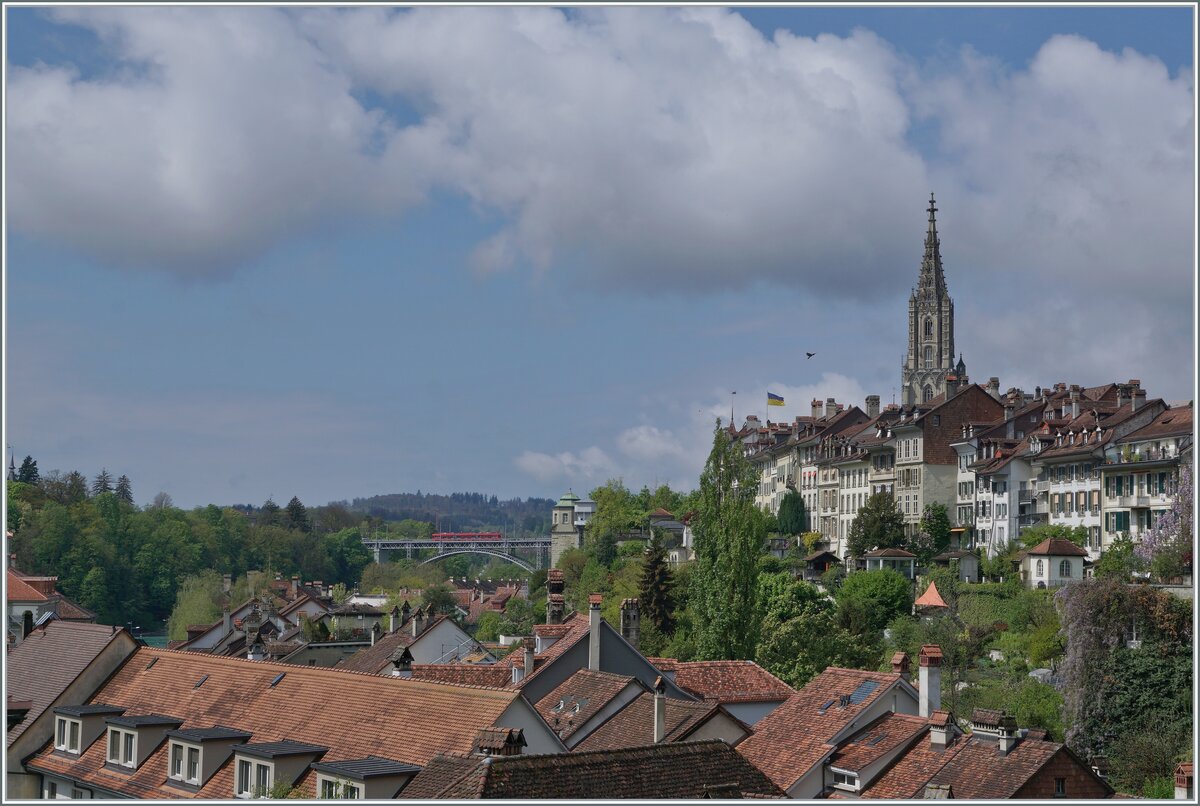 A Berner Tramway on the Monbijou Bridge in Bern.

26.04.2022