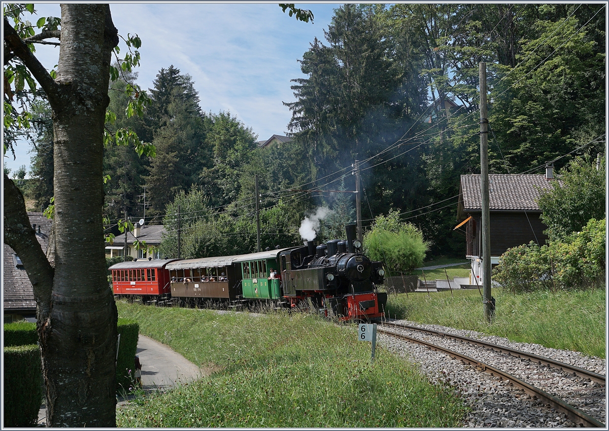 A Blonay-Chamby steamer train with the G 2x 2/2 15 on the way to Chaulin by Blonay.

26.07.2020