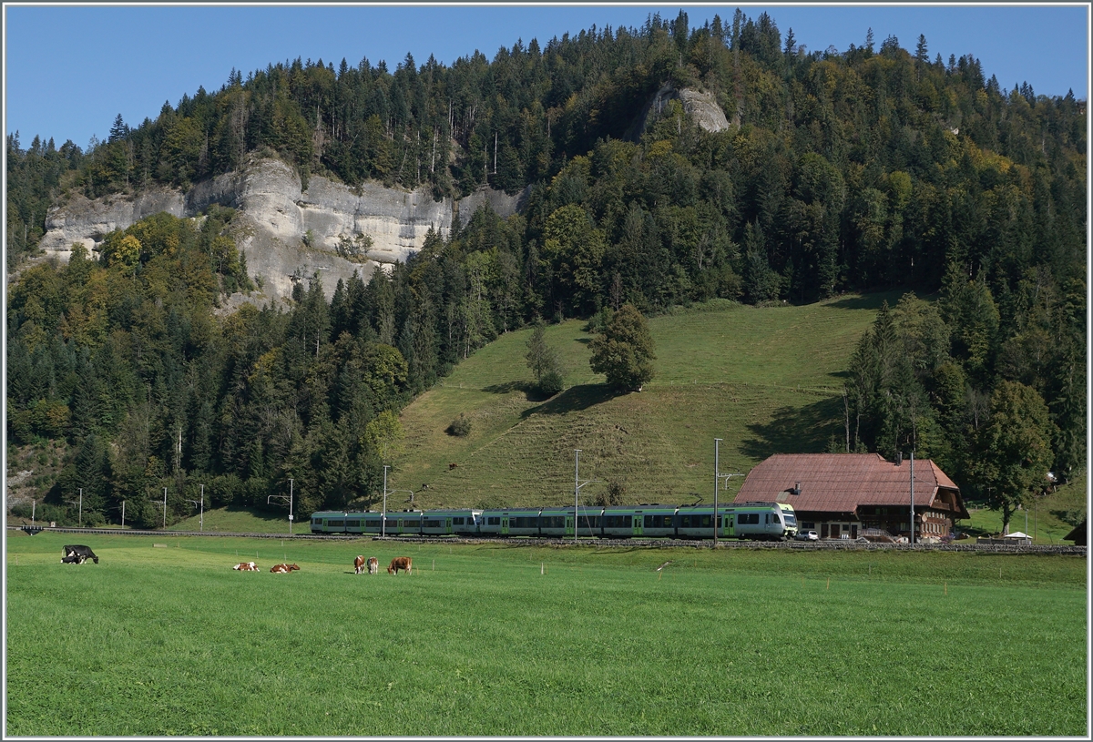 A BLS RABe 535  Lötschberger  and a RABe 525  NINA  by Ennetiflis (Wiggen) in the Entlebuch. 30.09.2020