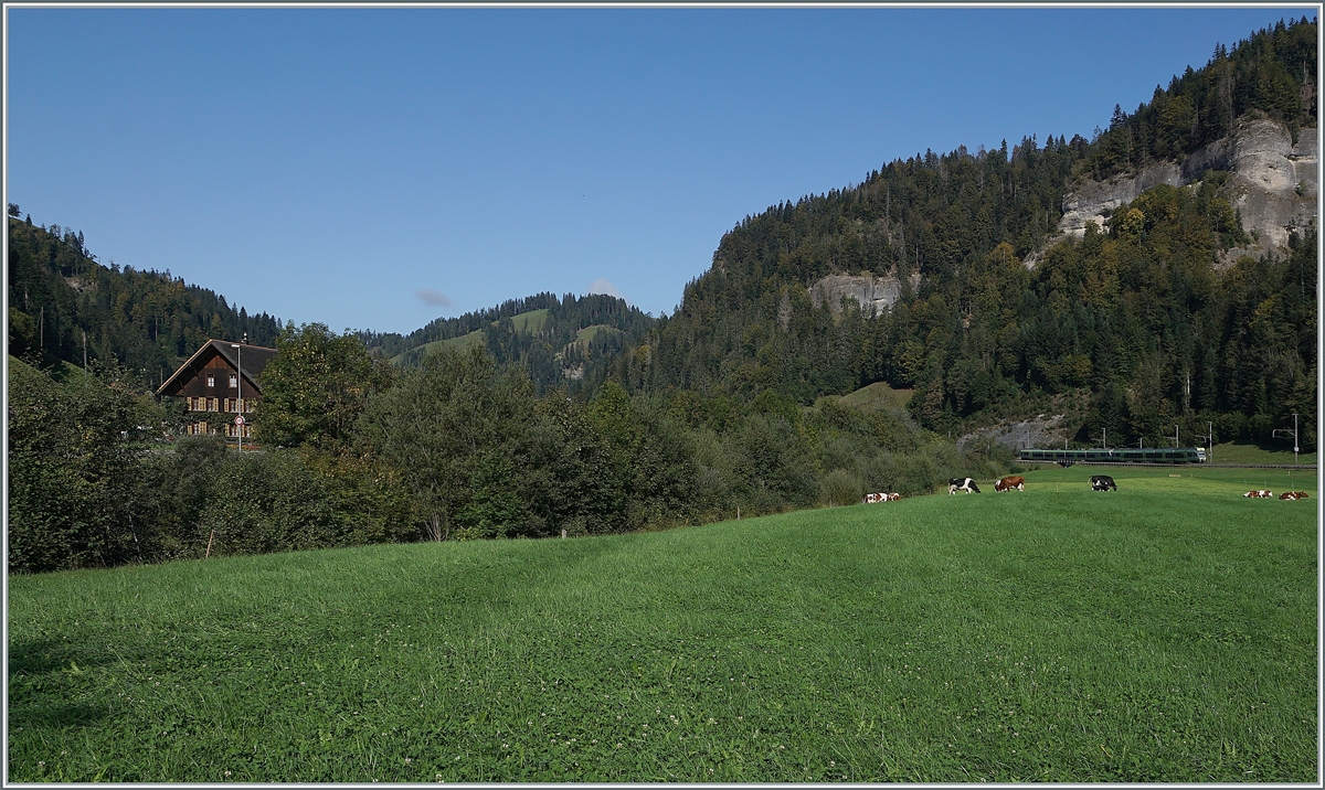 A BLS RABe 535  Lötschberger  and a RABe 525  NINA  by Ennetiflis (Wiggen) in the Entlebuch. 

30.09.2020