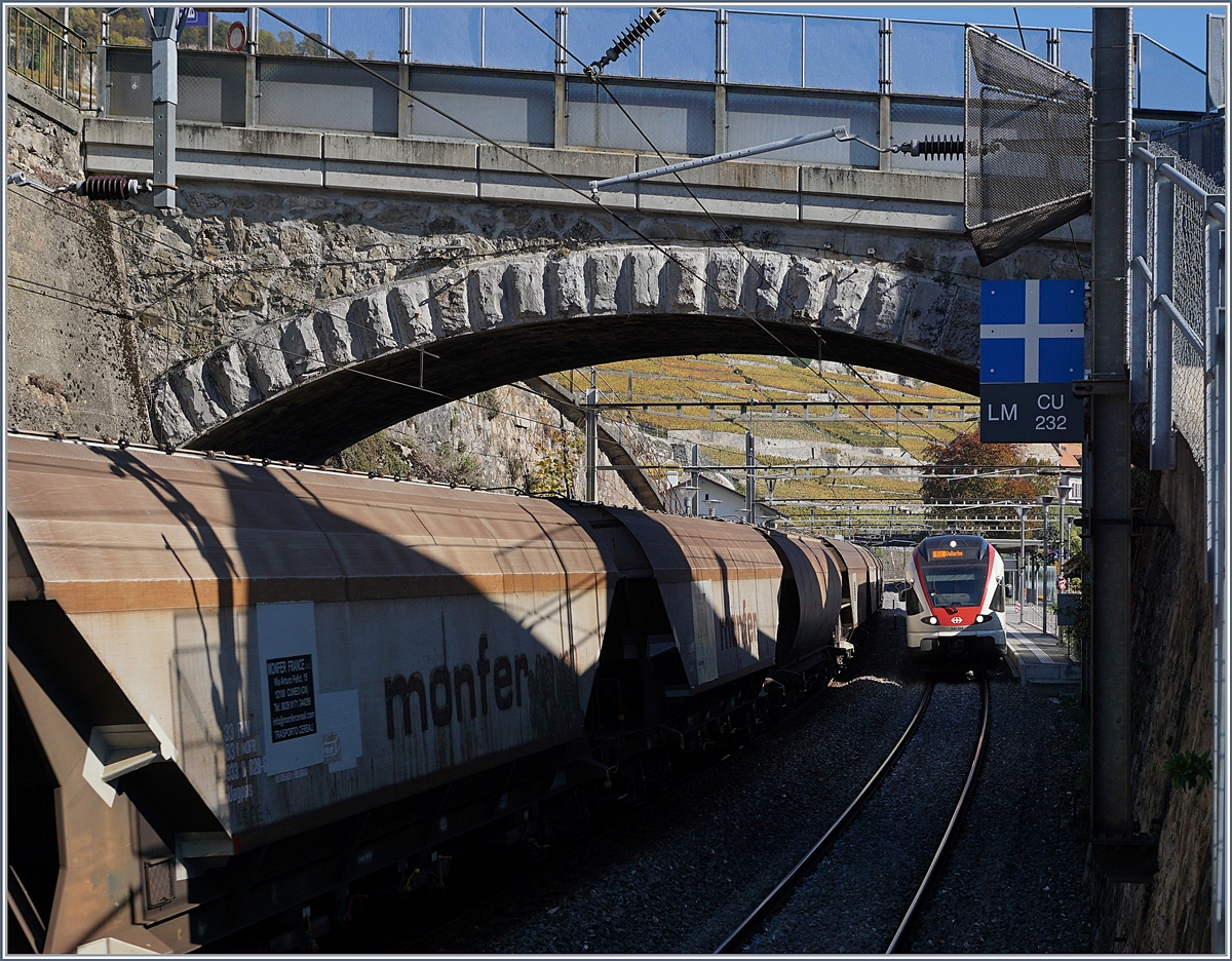 A Cargo Train an a SBB RABe 523 Flirt in Rivaz.
18.10.2017