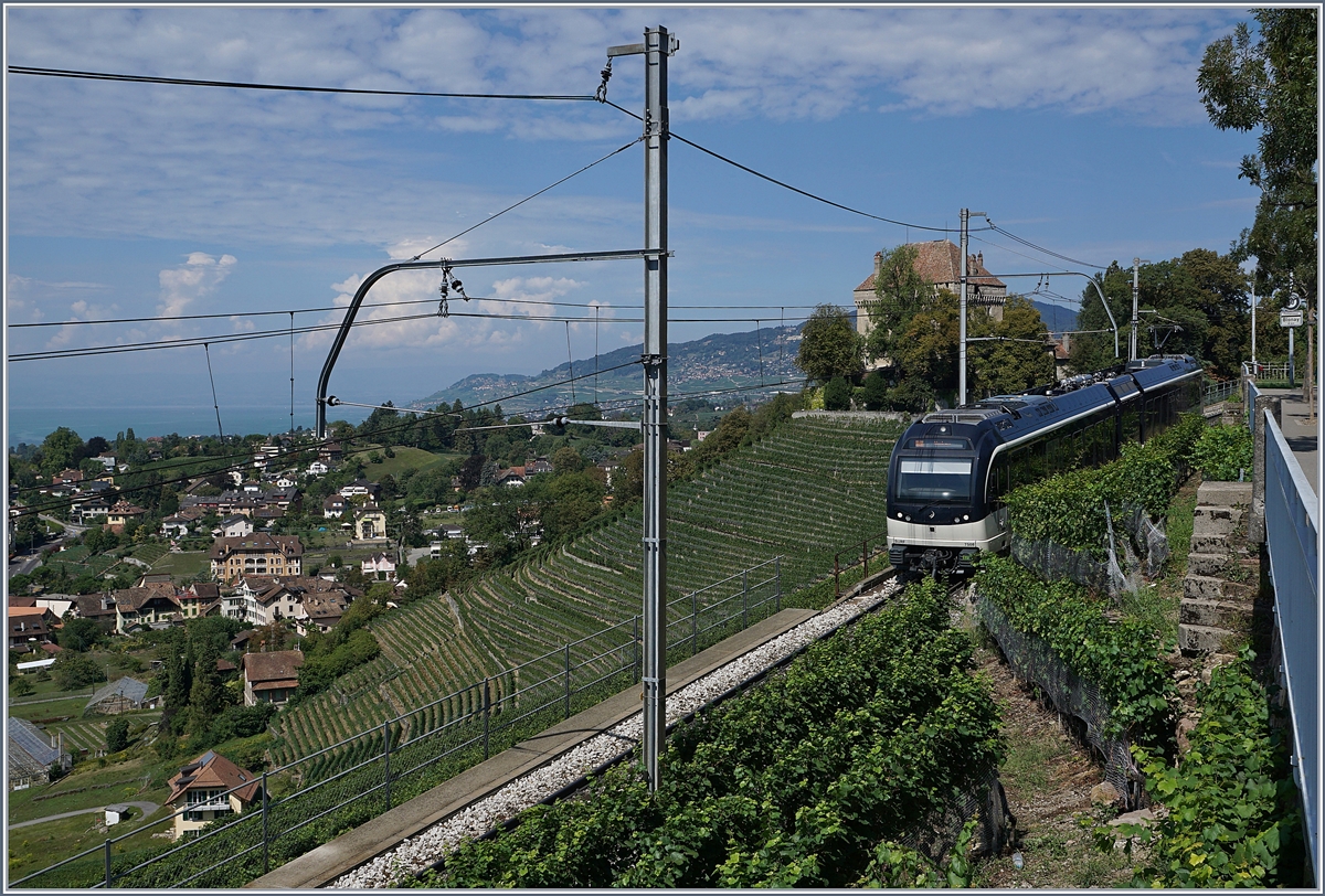 A CEV MVR ABeh 2/6 in the vineyards over Montereux. 

22.08.2018
