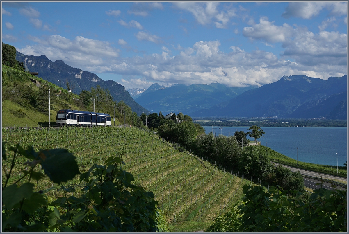 A CEV MVR ABeh 2/6 on a local service between Montreux et Chernex in the vineyards by Planchamp. 

29.06.2020