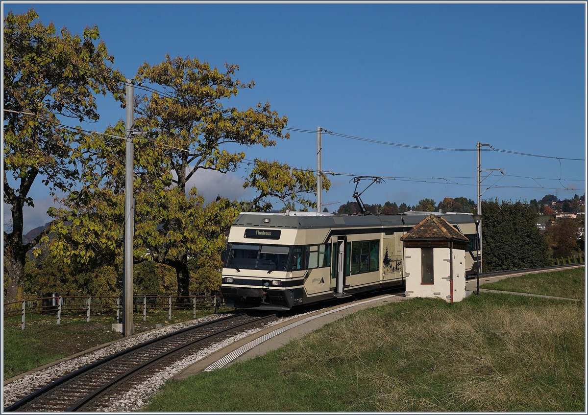 A CEV MVR GTW Be 2/6 by his stop in Châtelard VD.
27.10.2016