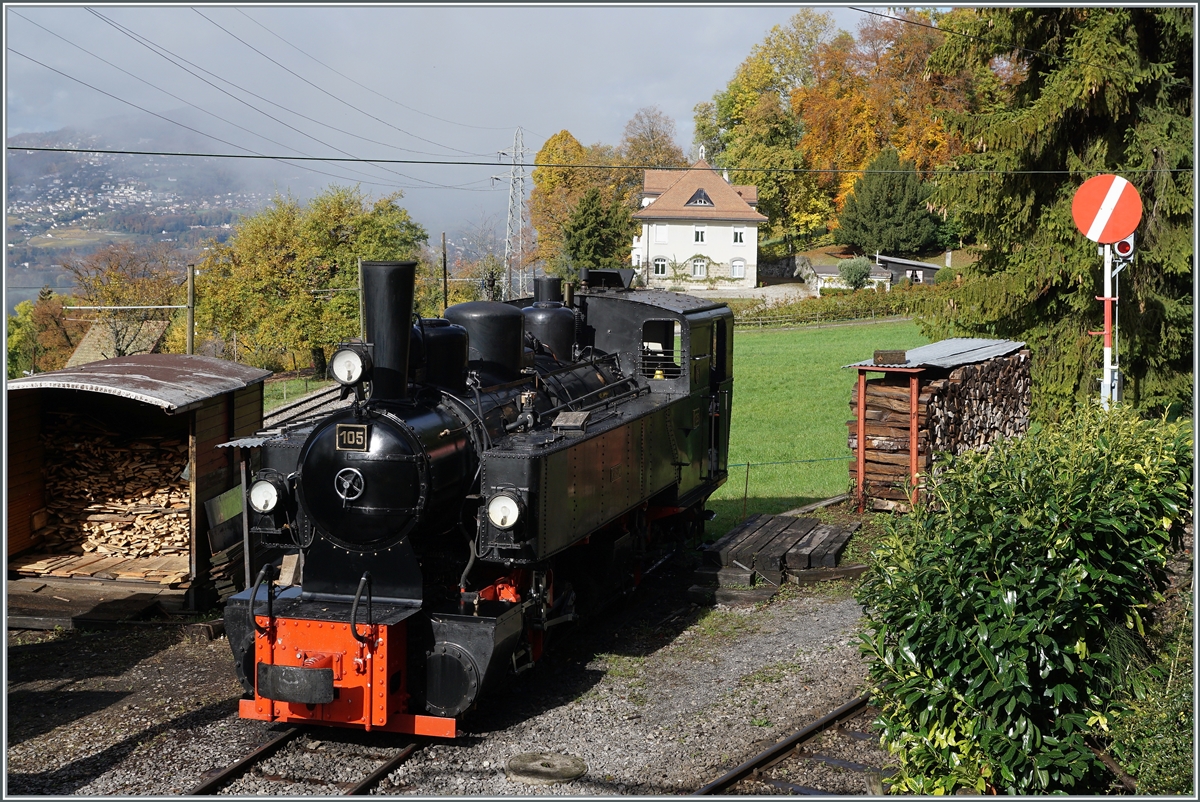 A DER 2020 by the Blonay-Chamby: The Blonay-Chamby G 2x 2/2 105 in Chaulin.

24.10.2020