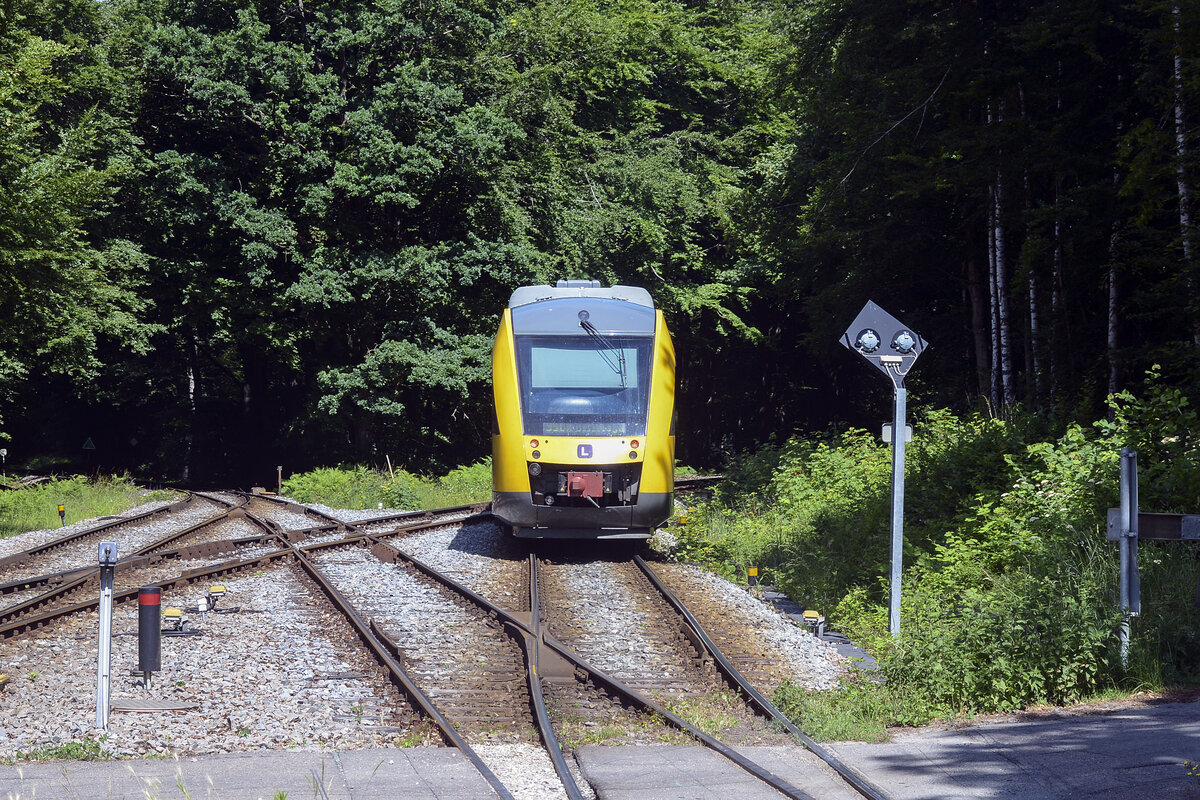 A Diesel multiple unit Lint 41 at the junction north of Kagerup Station, right in the middle of Denmark's fourth largest forest, Gribskov. Date: 24 June 2023.