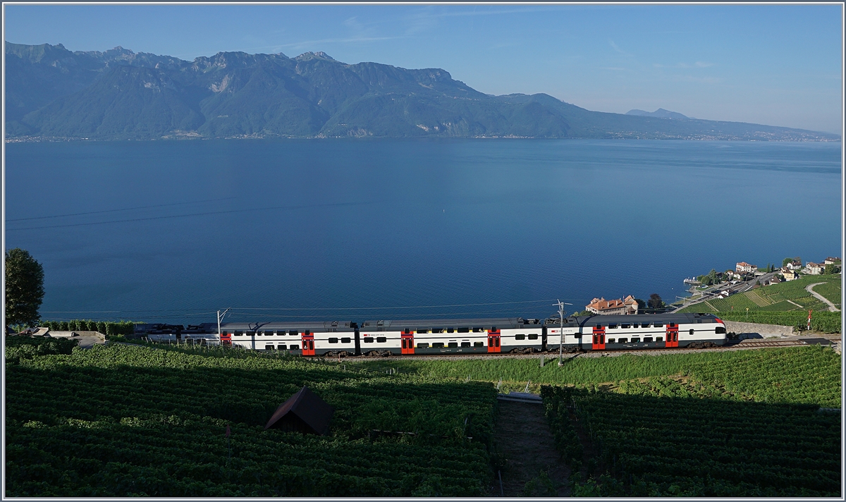 A early summer mornign on the Vineyard-Line by Chexbres wiht an SBB RABe 511.

27.07.2018