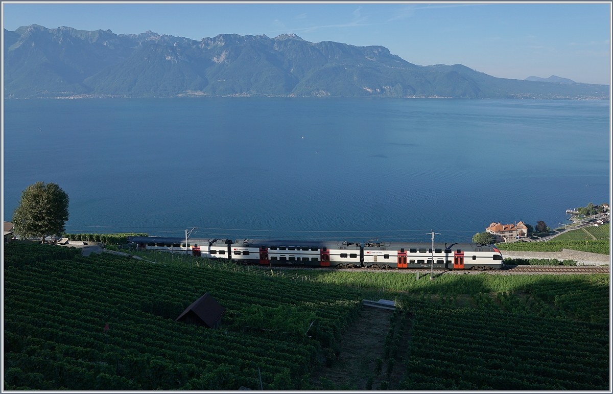 A early summer mornign on the Vineyard-Line by Chexbres wiht an SBB RABe 511.

27.07.2018