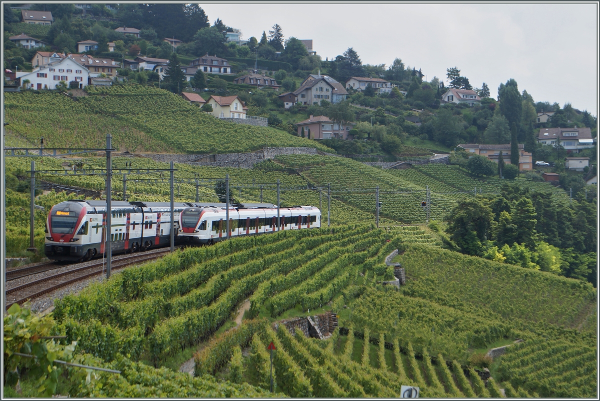 A Flirt and a Kiss between Bossière and Grandvaux.
31.07.2014