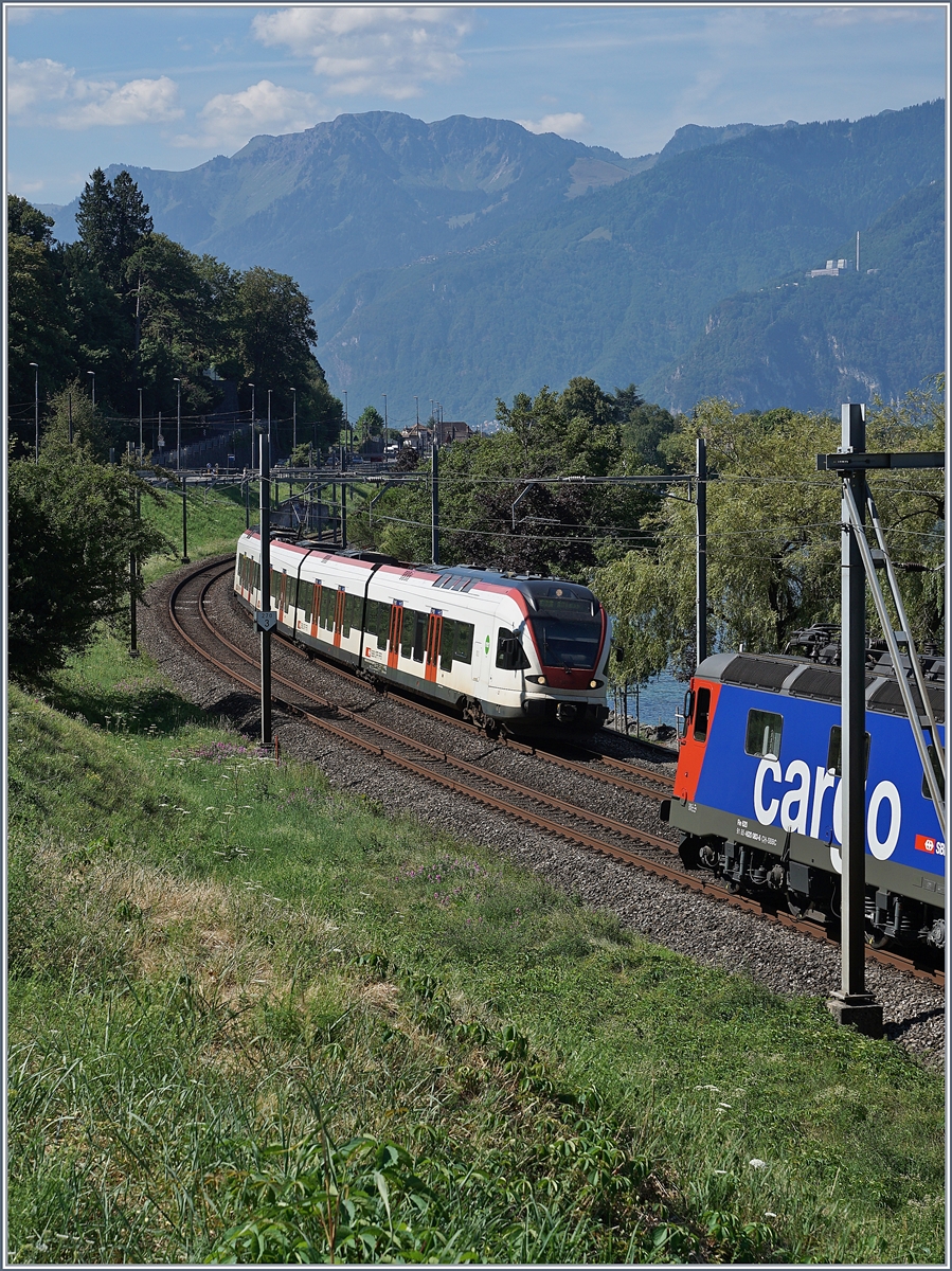 A Flirt RABe 523 on the way to Allaman near Villeneuve.
27.07.2018