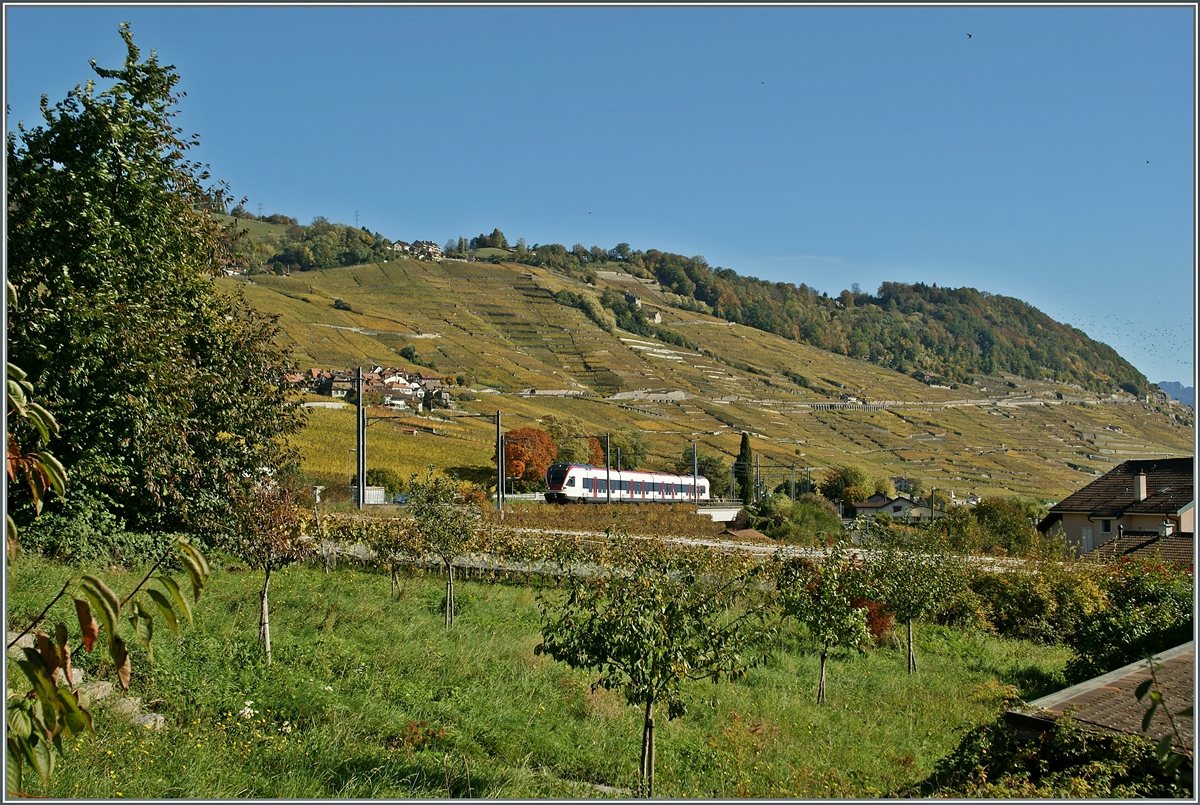 A FLIRT in the vineyards near Cully.
28.10.2013