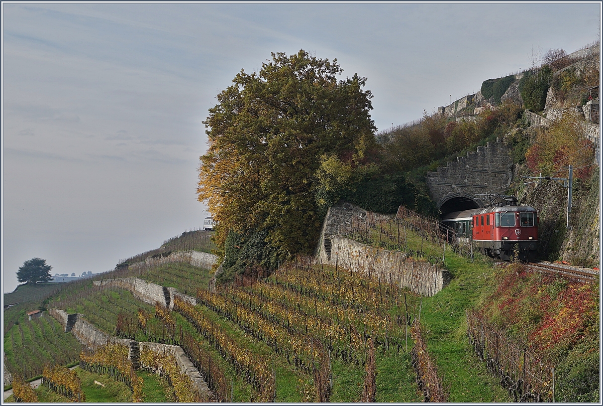 A Footbal Fan service from Bern to Sion on the Vineyard Line (Ligne Train des Vignes) between Chexbres Village and Vevey.

24.11.2019