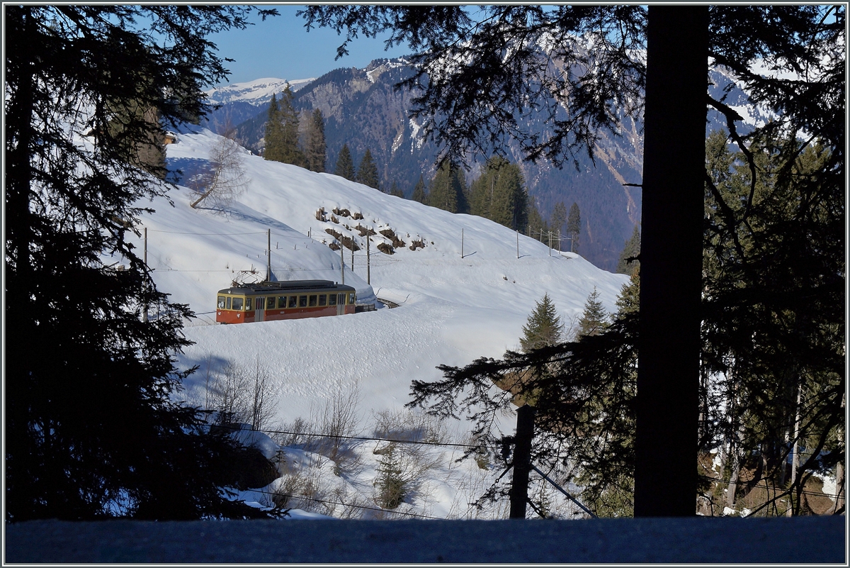 A hole in the wood gives this view on the BLM train by Winteregg. 
09.03.2014