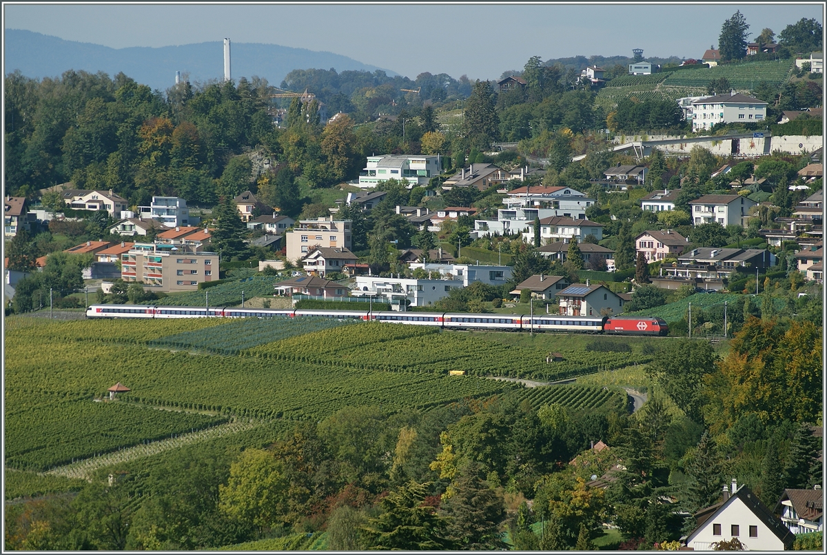 A IR on the way to Luzern betwenn La Conversion and Bossière near Lausanne in the vineyards.
03.10.2010