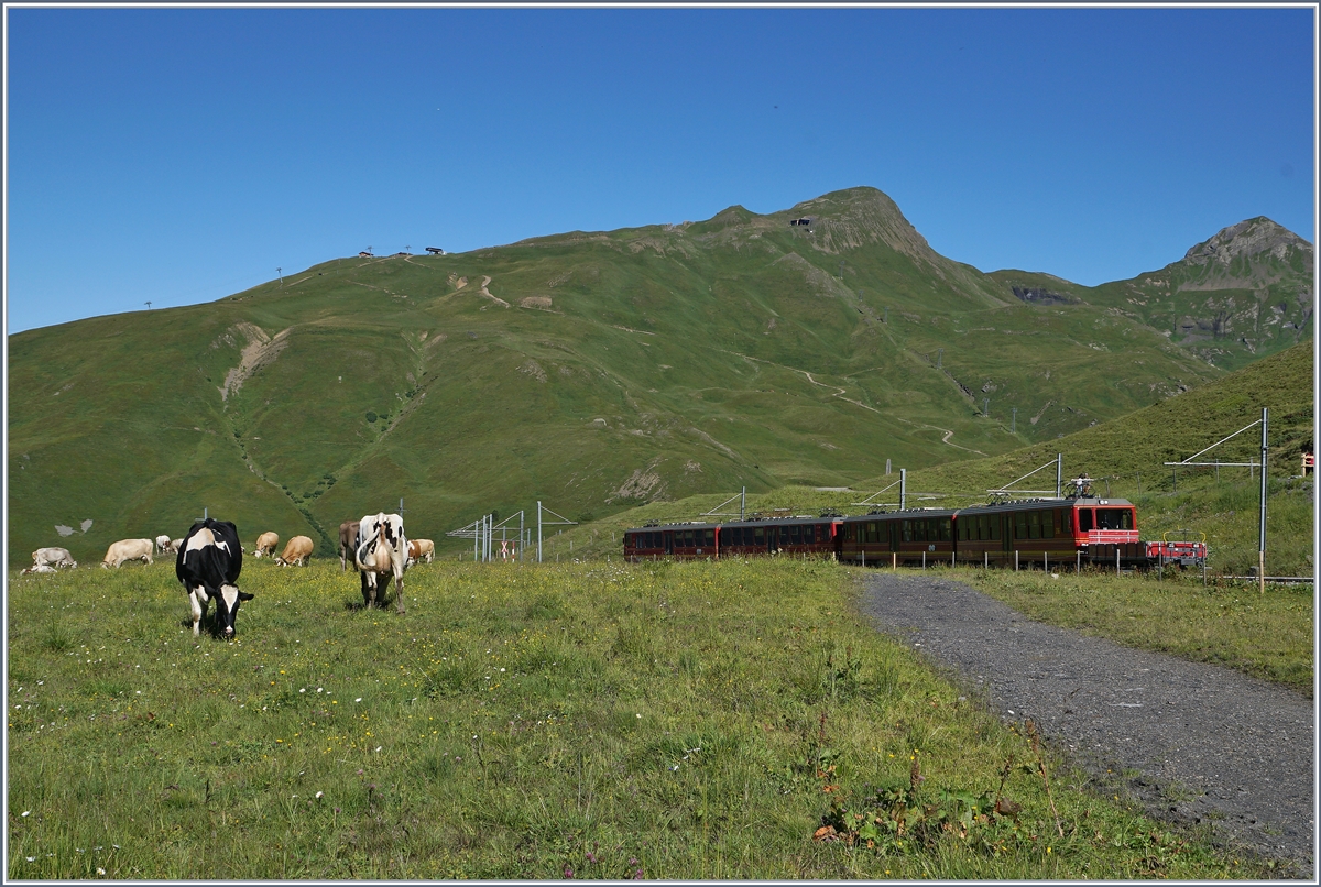 A Jungfraubahn JB Bhe 4/8 over the kleine Scheidegg. 
08.08.2016