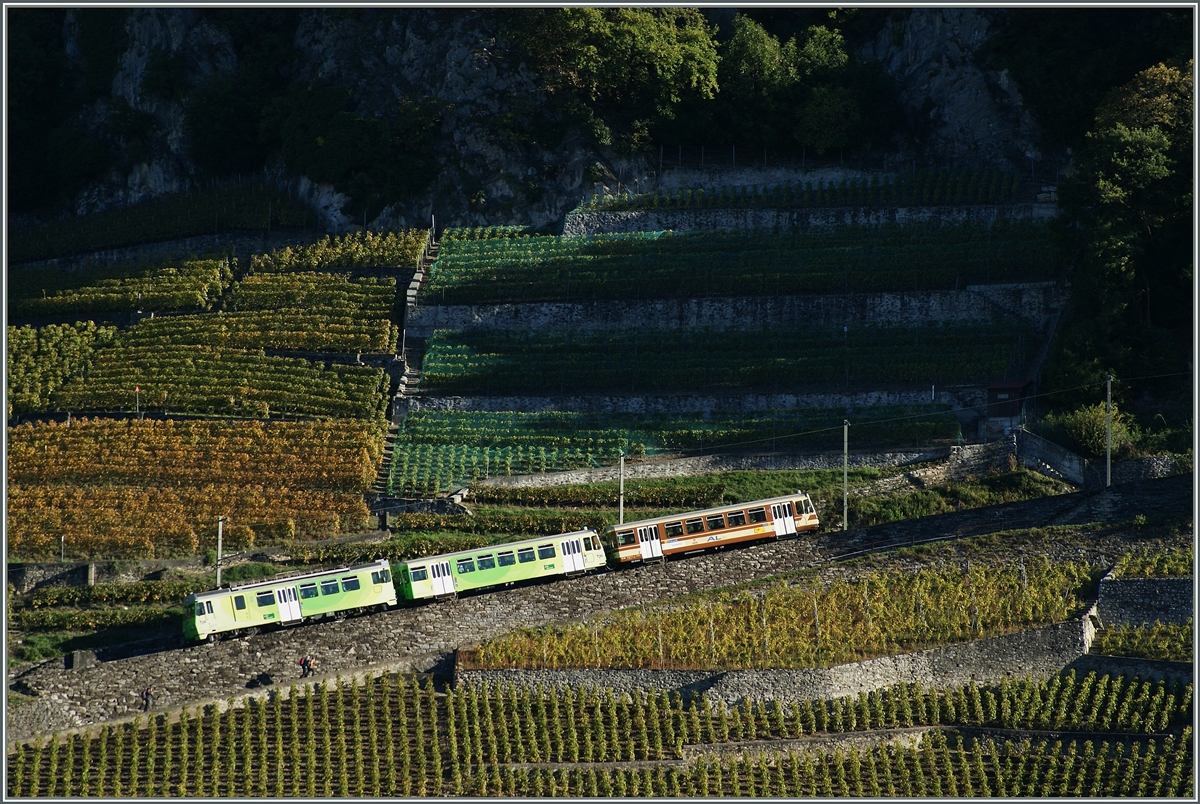 A-L Local train near Aigle. 
18.10.2014