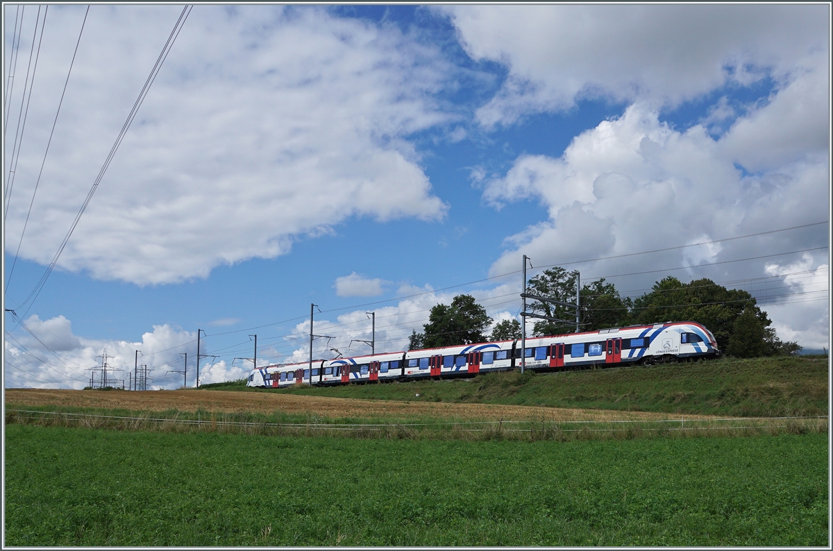 A Léman Express SL5 on the way from la Plaine to Genève by Satigny. 

02.08.2021