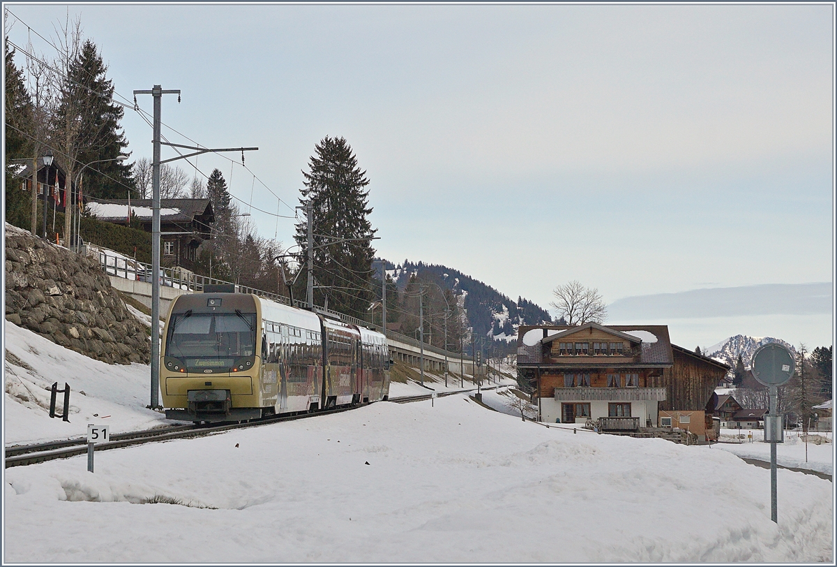 A  Lenker Pendel  by Schönried.
10.01.2018