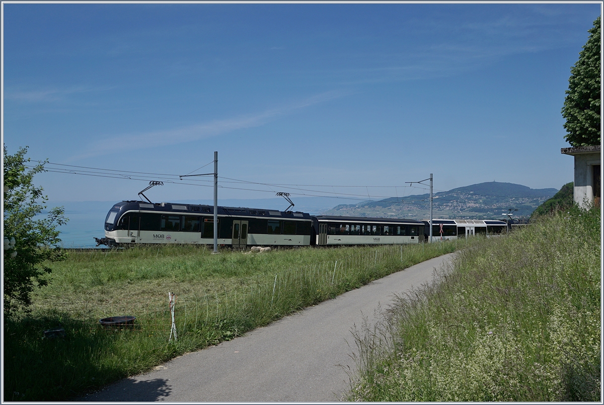 A MOB Alpina local train to Montreux by Sonzier. 

09.05.2020