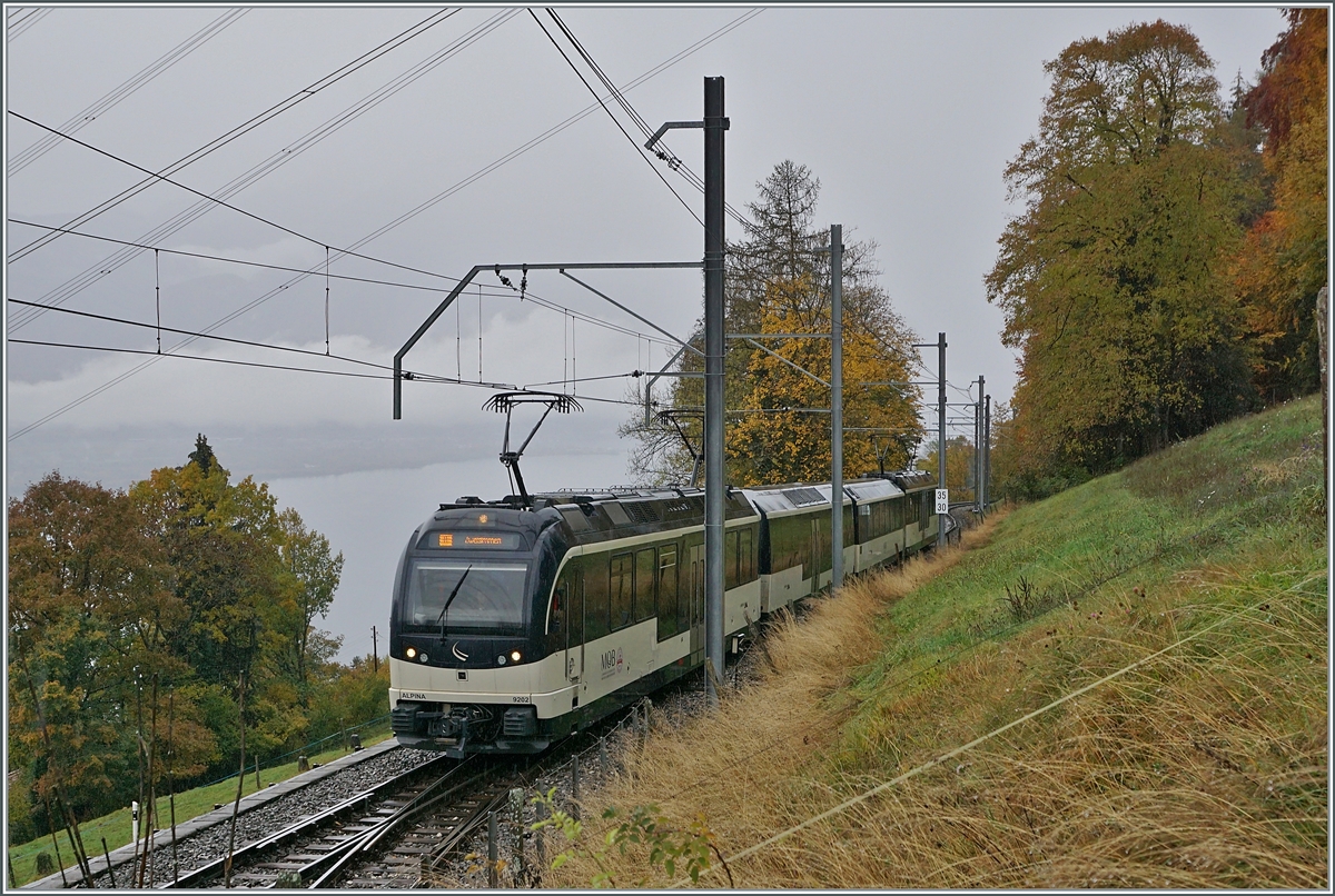 A MOB  Alpina  Service on the way to Montreux betwenn Les Avants and Chamby.

23.10.2020