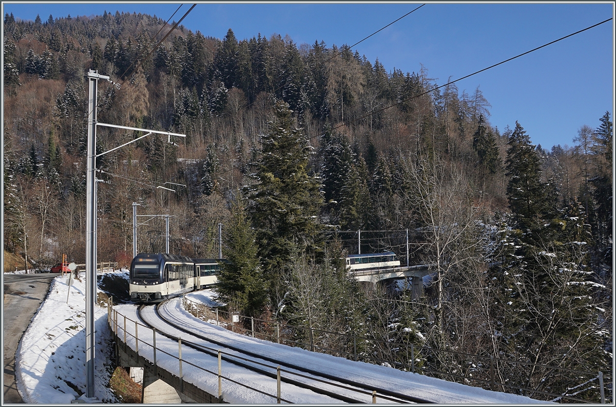 A MOB Alpina with a Panormic Express on the way from Zweisimmen to Montreux between Les Avants and Sendy-Sollard.  

10.01.2021