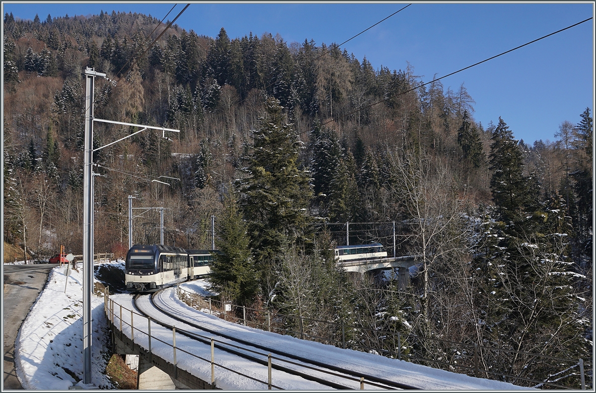 A MOB Alpina with a Panormic Express on the way from Zweisimmen to Montreux between Les Avants and Sendy-Sollard.  

10.01.2021