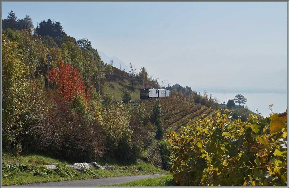 A MOB GDe 4/4 wiht his Panormaique Express near Planchamp. 

23.10.2020