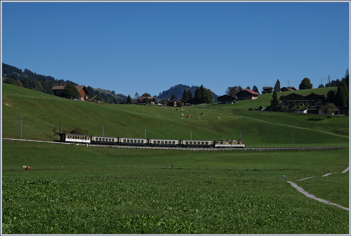 A MOB GoldenPass Classic train near Schönried.
30.09.2016