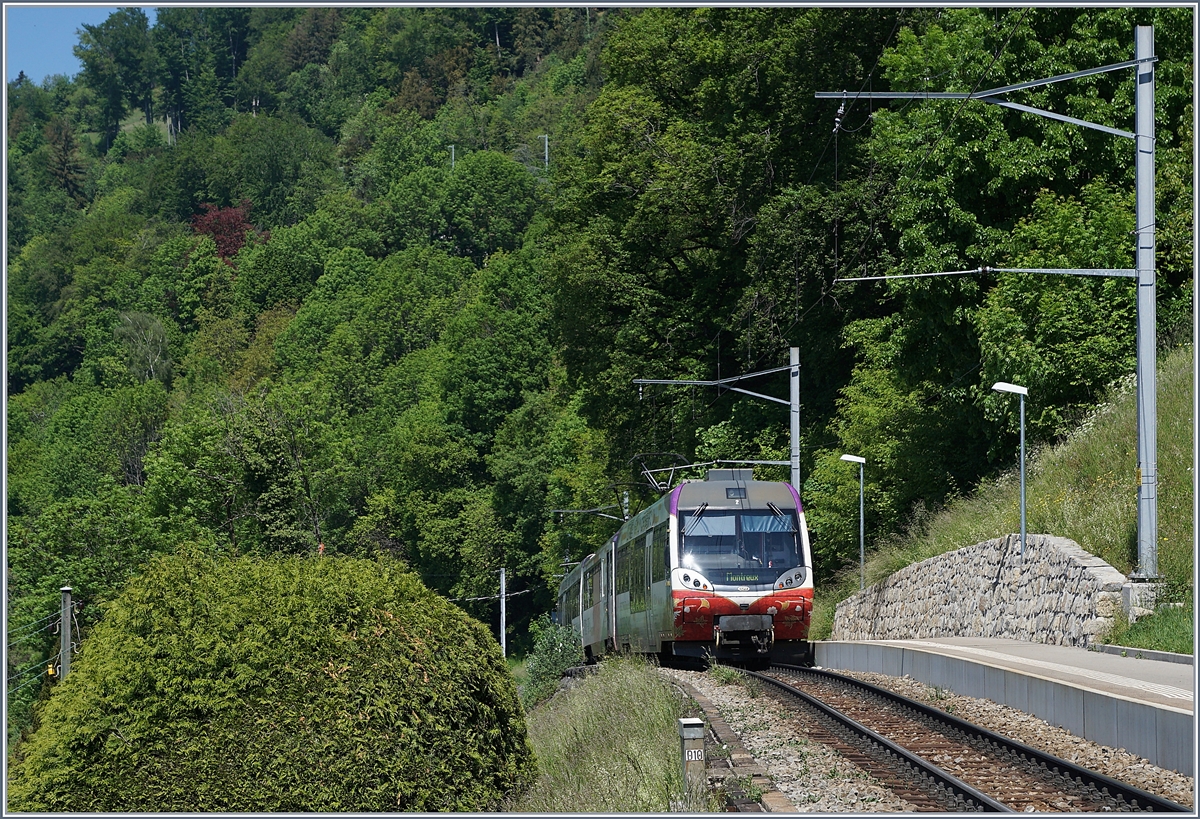 A MOB  Lenkerpendel  (Bt - Be 4/4 Serie 5000 - ABt) on the way to Montreux by Sonzier . 07.05.2020