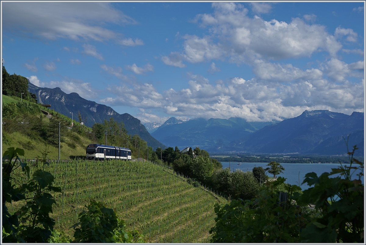 A MOB  MVR CEV ABhe 2/6 local Service on the way to Chernex between Planchamp and Châtelard VD. In the background the Lake of Geneva and the Dents de Midi. 

29.06.2020