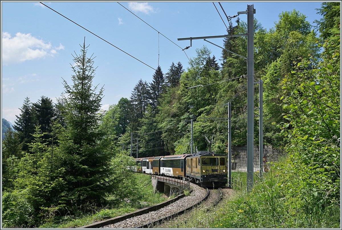 A MOB Panoramic Express on the way from Montreux to Zweisimmen between Sendy-Sollard and Les Avants.

17.05.2020