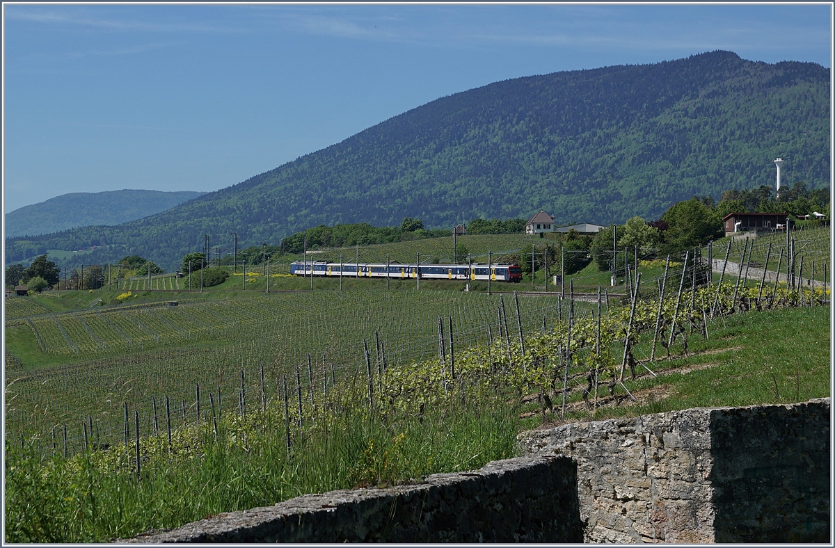 A NPZ RABe 562 from Frasne (TGV conection) to Neuchtatel by Auvernier.
16.05.2017
