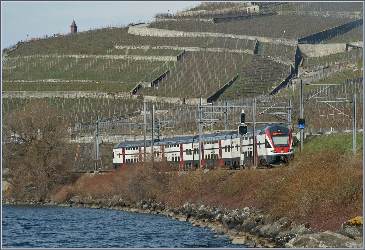 A RABe 511 between St Saphorin and Rivaz.
04.03.2017