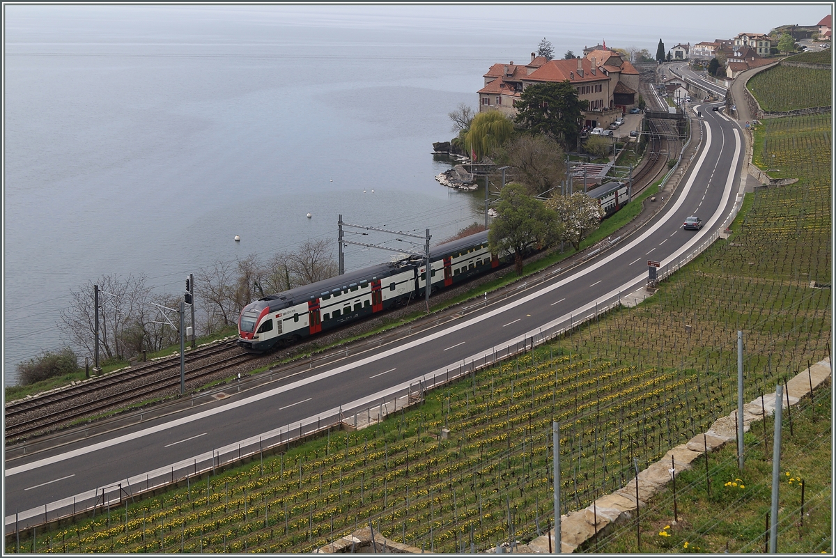 A RABe 511 near Rivaz. 
06.04.2014