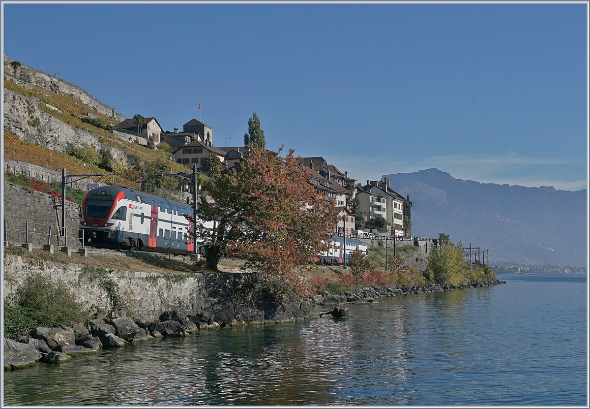 A RABe 511 on the way to Geneva by St-Saphorin.

25. Okt. 2018