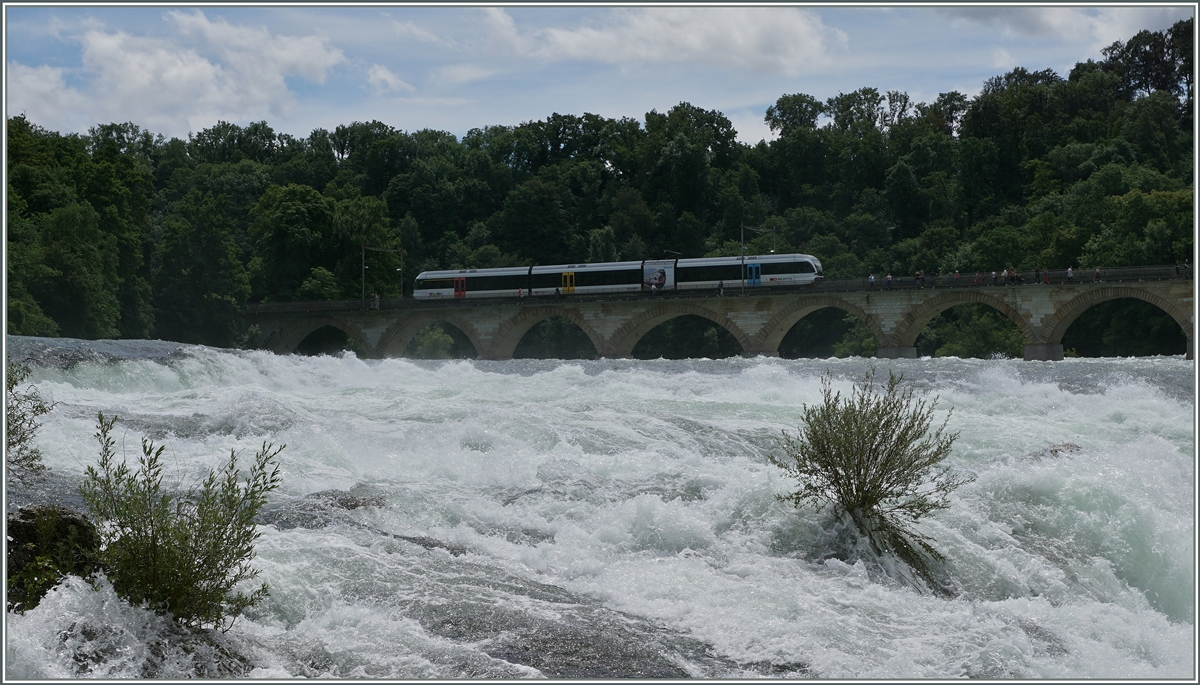 A RABe 526 by Neuhausen near the Rheinfall.
18.06.2016