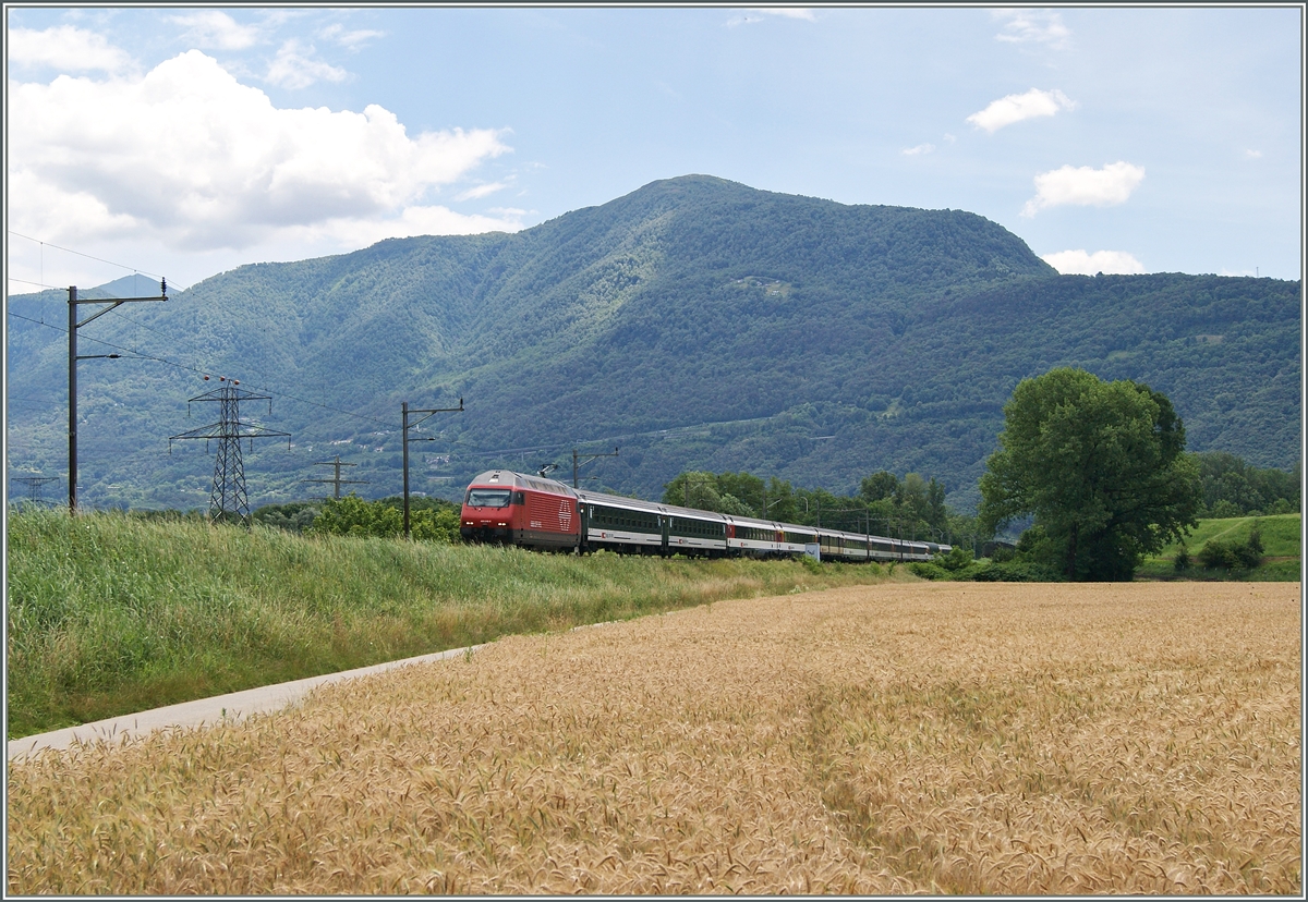 A Re 460 wiht an IR by Riazzino.
21.06.2015