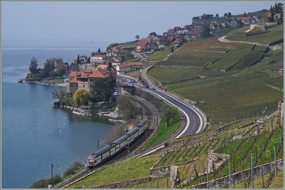 A RE from Vevey to Geneva between St Saphorin and Rivaz.
606.04.2014