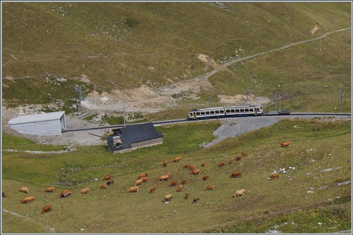 A Rochers de Naye Beh 4/8 near the Rochers de Naye.
04.09.2014