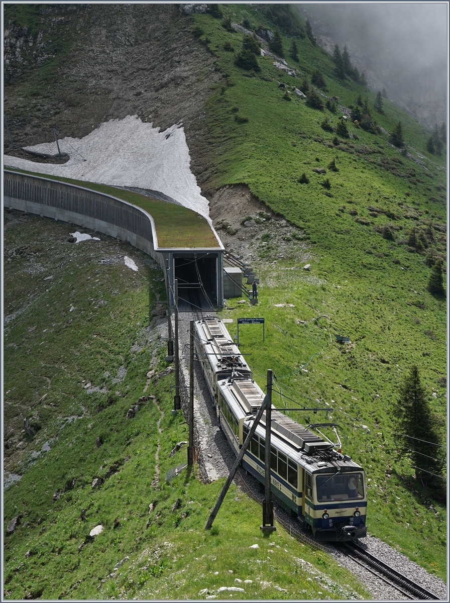 A Rochers de Naye Bhe 4/8 between the Rochers de Naye and Jaman.
03.07.2016