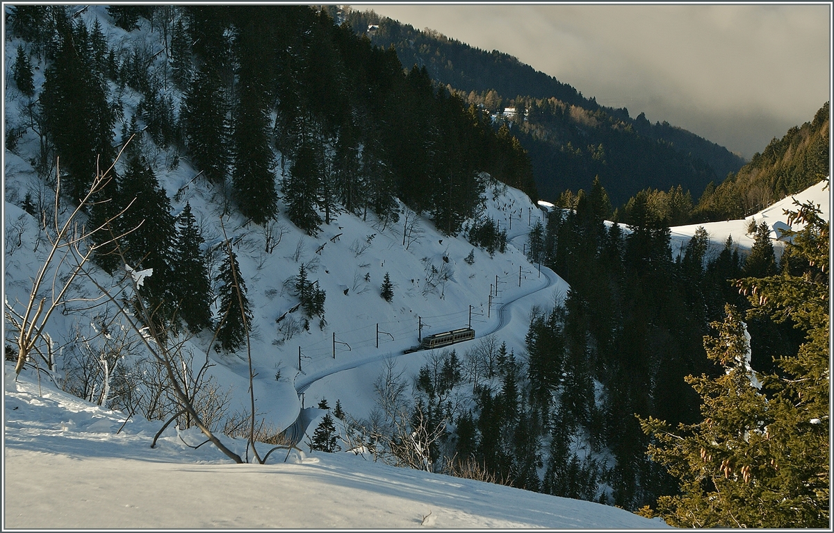 A Rochers de Naye Train on the way to Montreux betwenn Jaman and Caux. 
12.01.2012