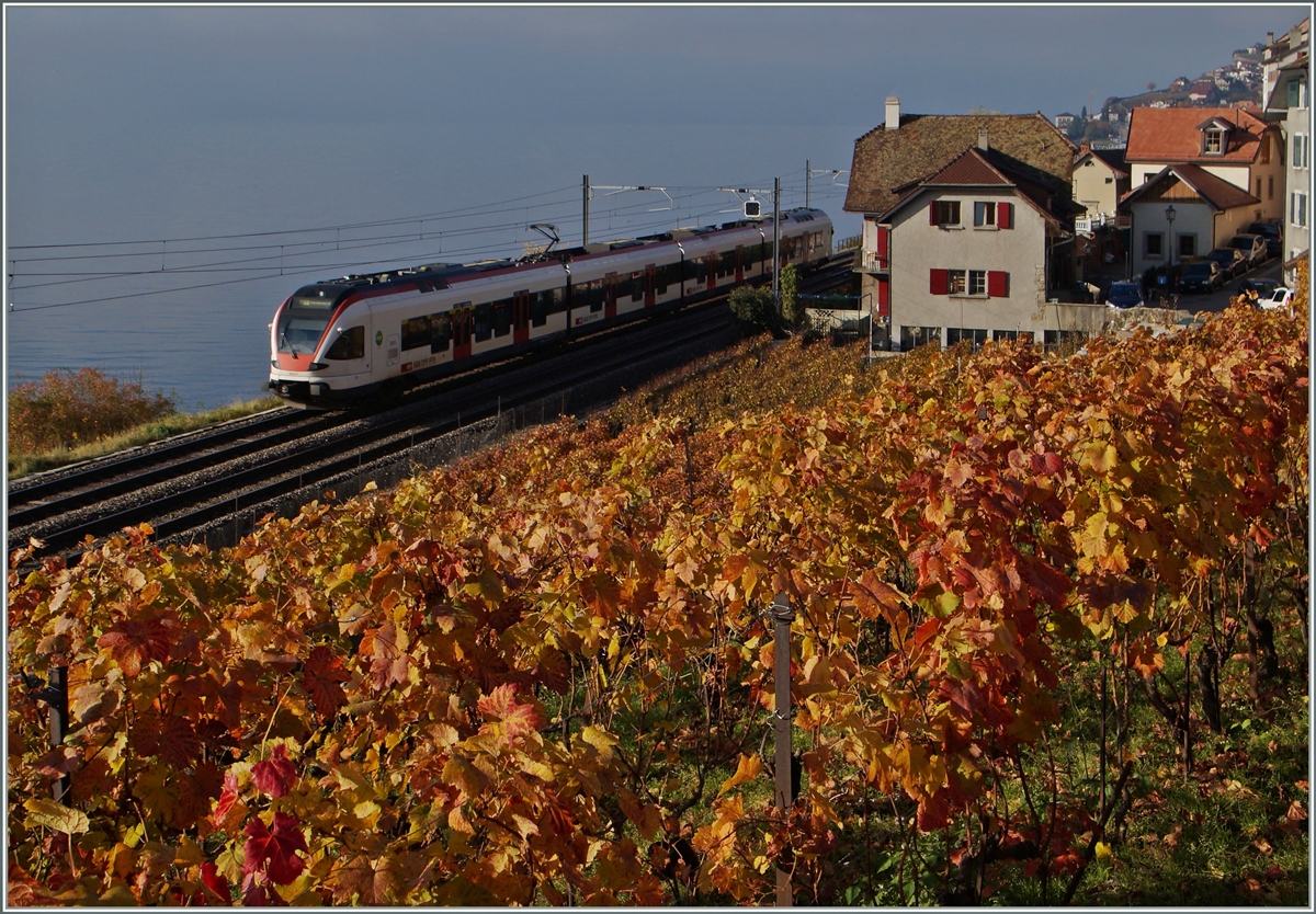 A S 1 to Yverdon by St Saphorin.
22.11.2014
