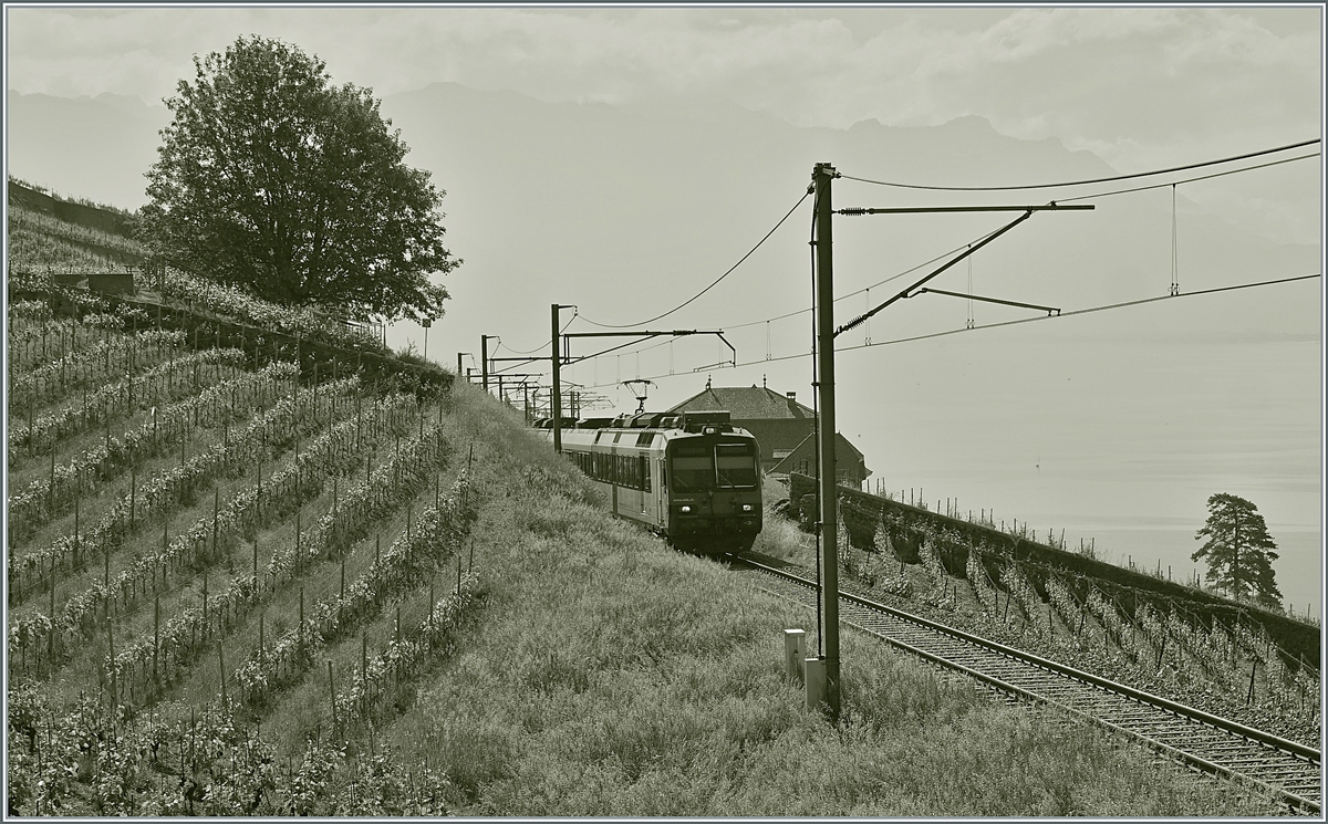 A SBB  Domino  on the Vine Yard Line by Chexbres.

17.05.2020