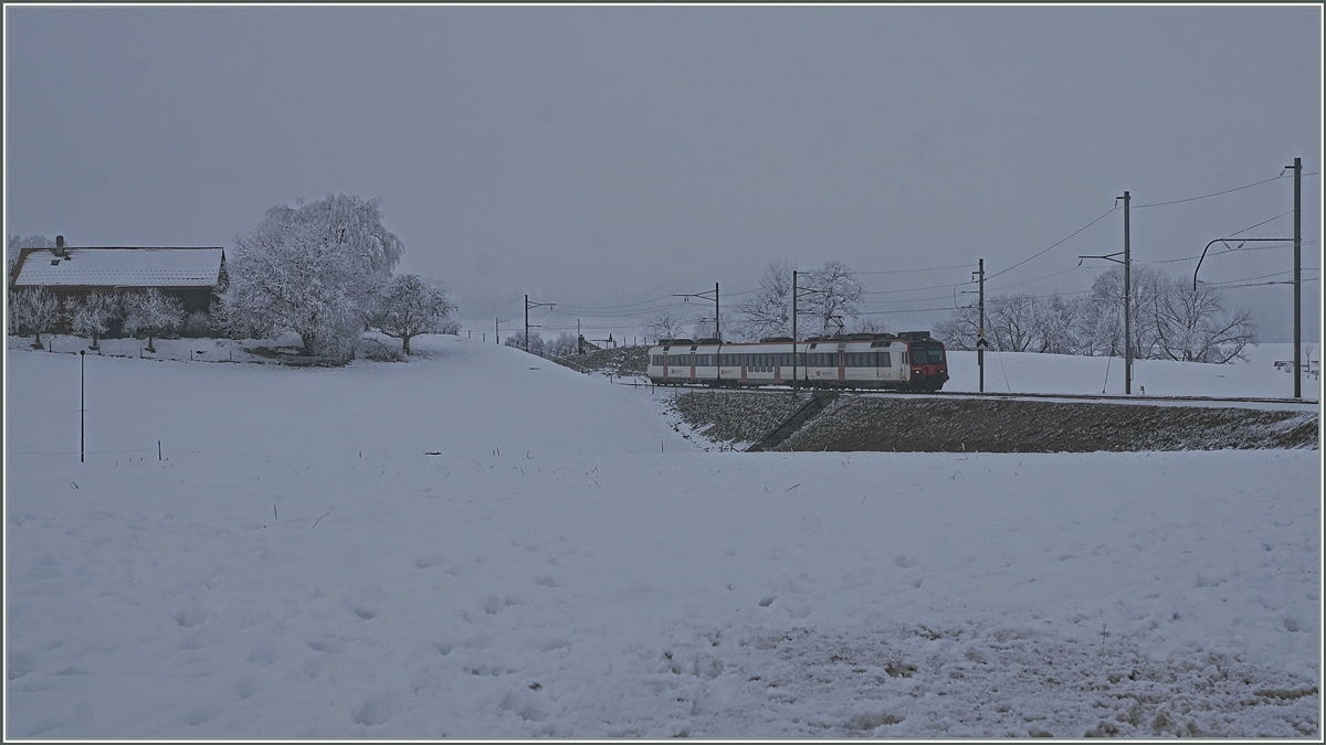 A SBB Domino on the way to Bulle by Vuisternens-devant-Romont.

22.12.2021